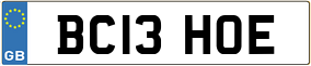 Truck License Plate